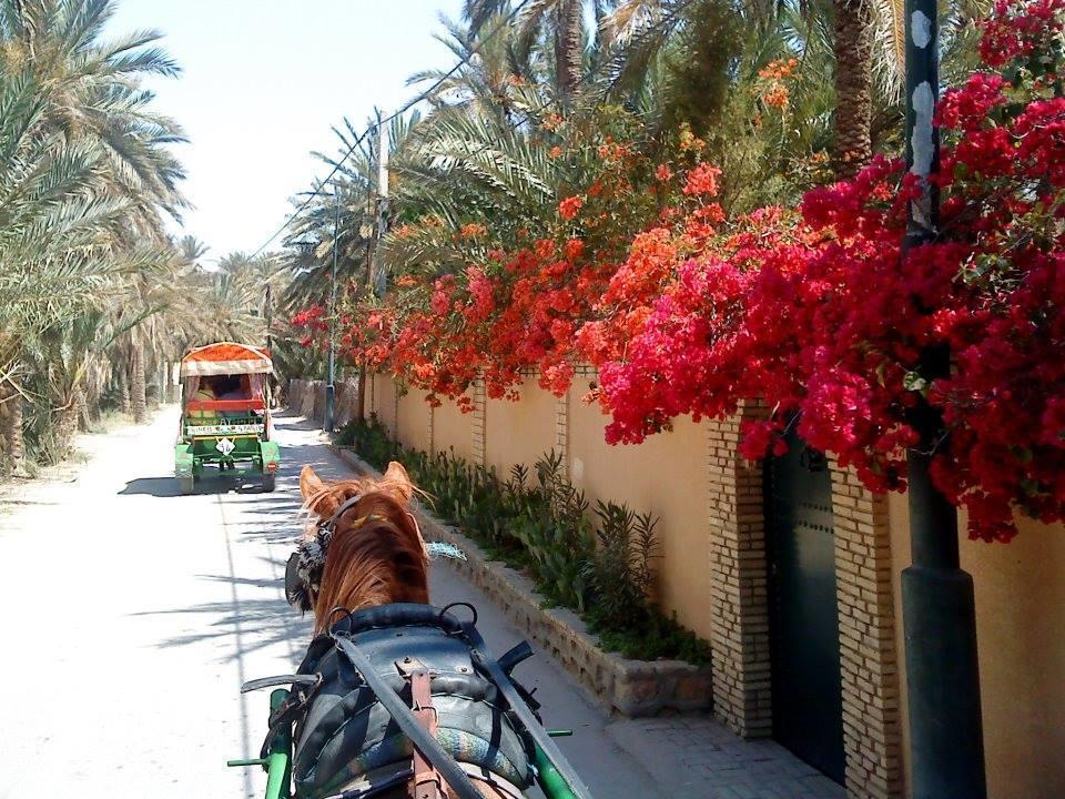توزر Maison D'Hotes Villa Fatima المظهر الخارجي الصورة